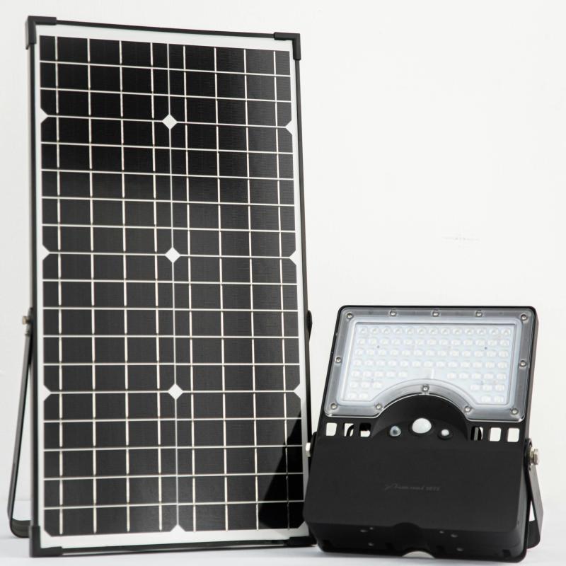Bifacial Panels